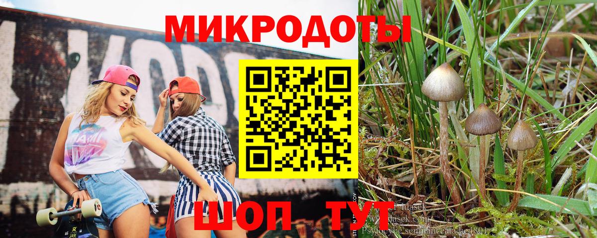 Псилоцибиновые грибы MAGIC MUSHROOMS Петропавловск-Камчатский